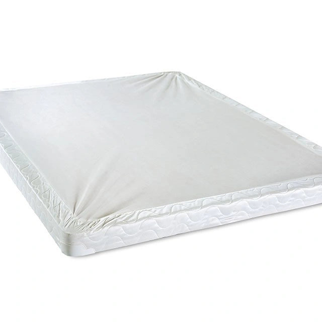Bird Of Paradise 4" Queen-Size Foundation