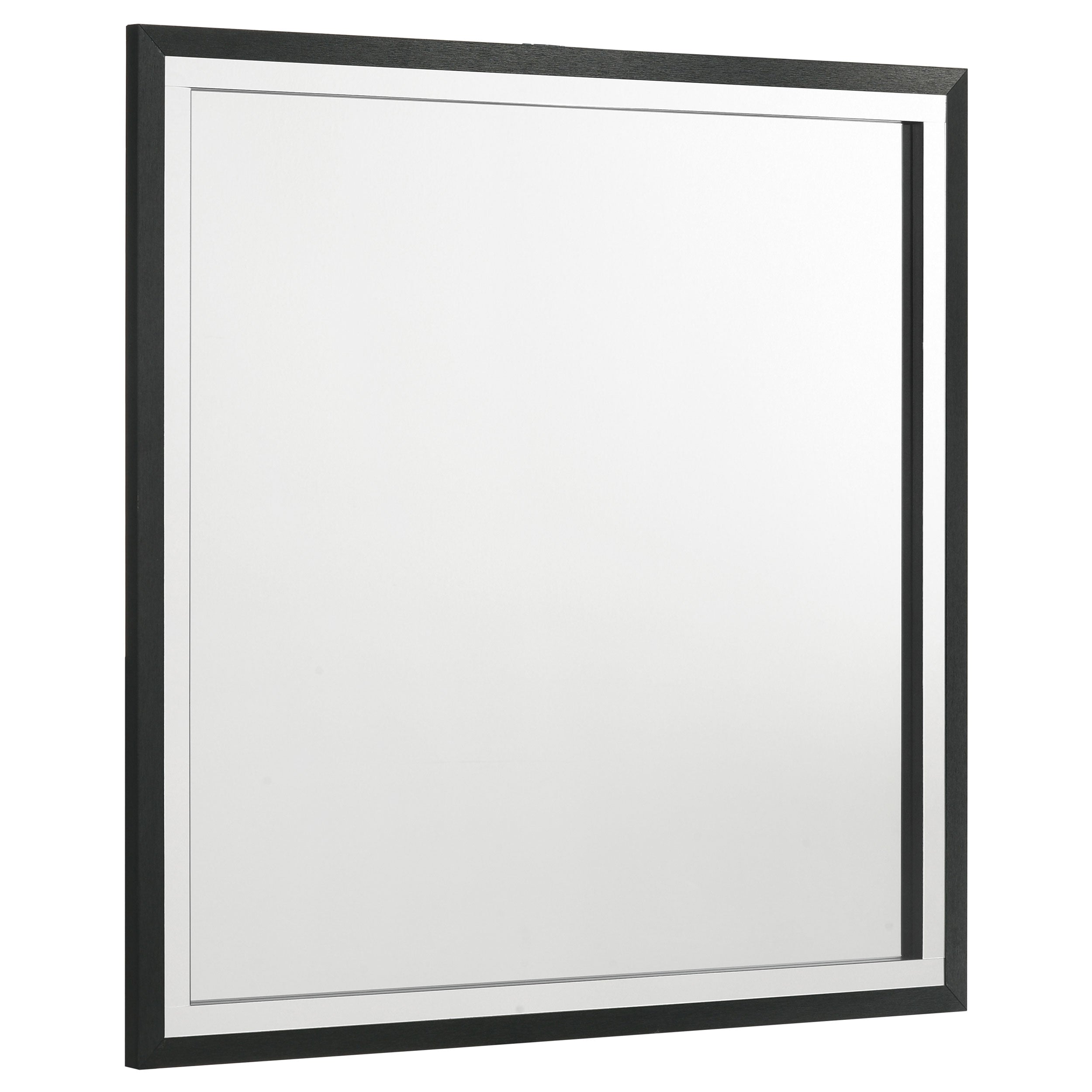 Dar Furniture - Coaster - Lucia Dresser Mirror Black - 224994