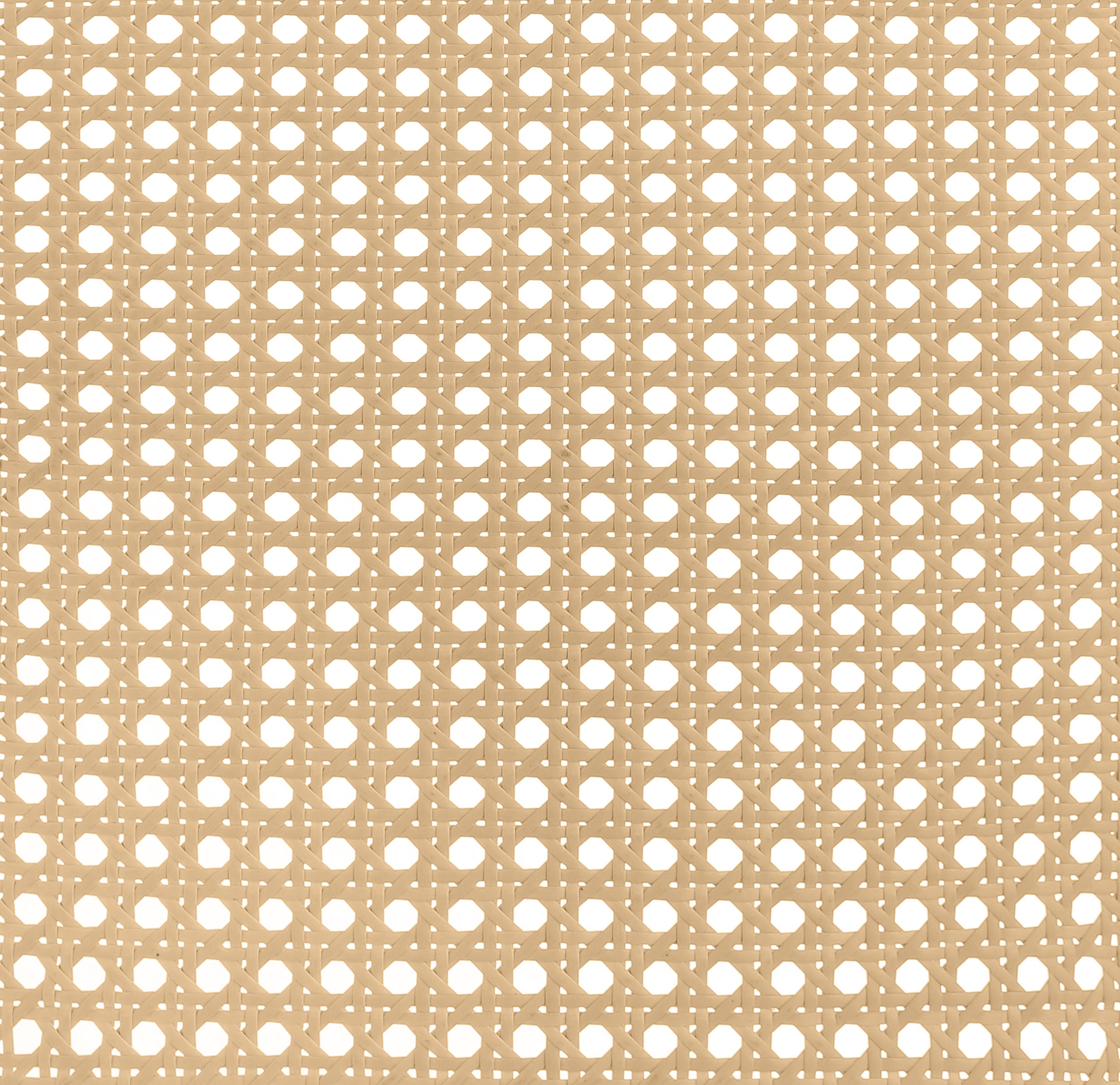 Lanewood Open Cane Webbing Metal Eastern King Bed White