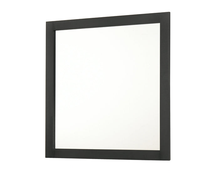Nemy Dresser Mirror