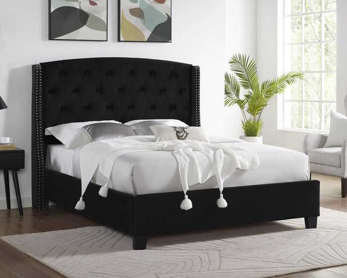Eva Bed