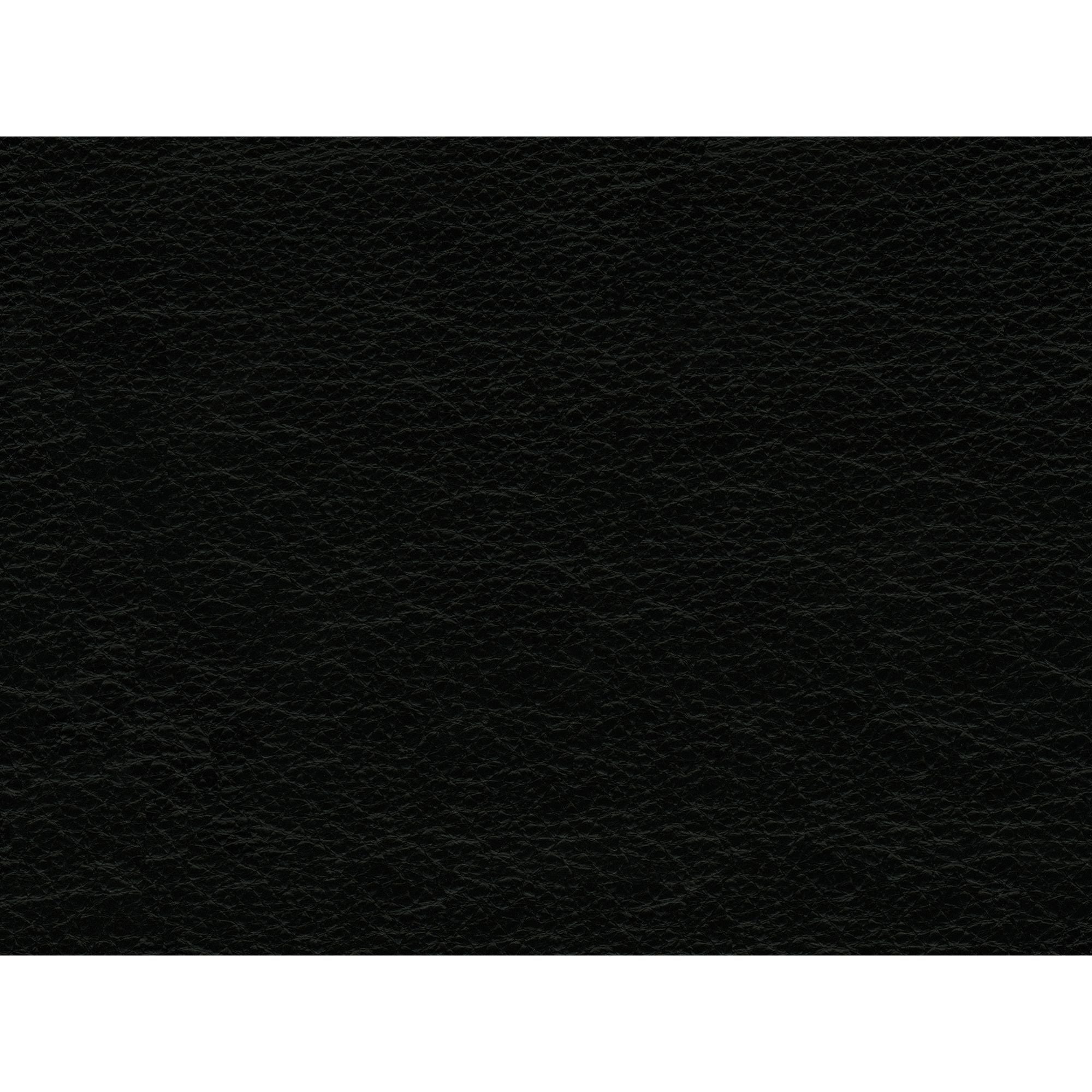 Hampton Sofa In Fiero Black (Top Grain/PVC)