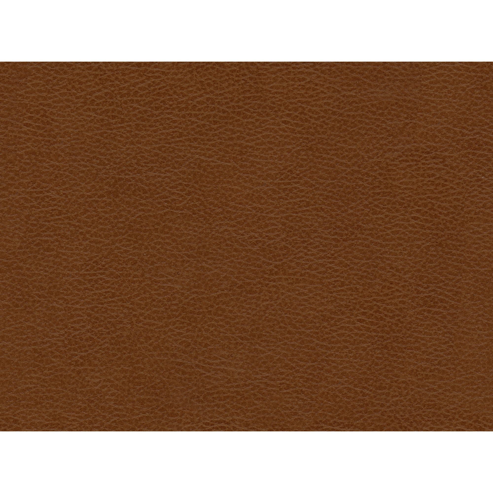 Hampton Loveseat in Fiero Tan (Top Grain/PVC)