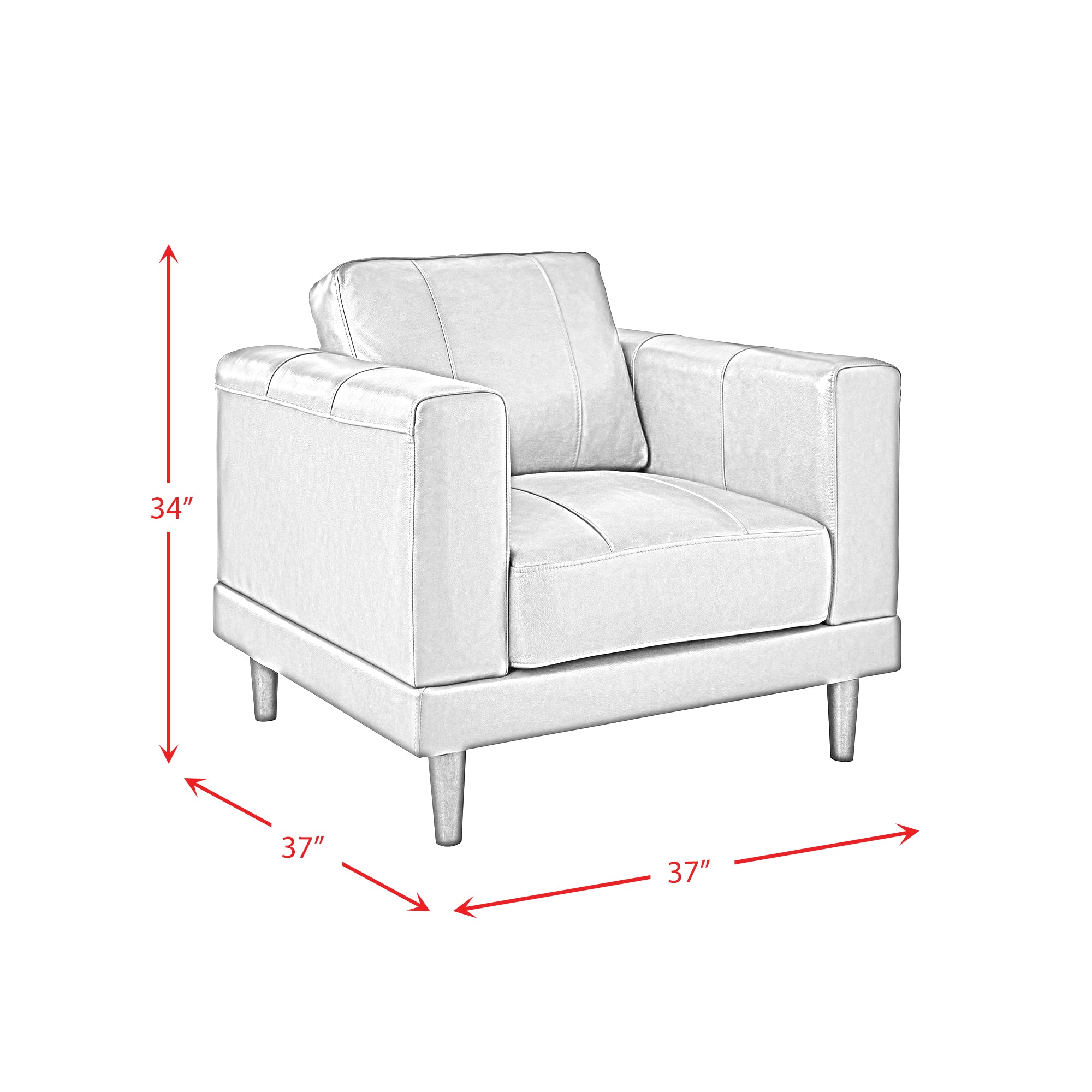 Hampton Chair In Fiero Black (Top Grain/PVC)