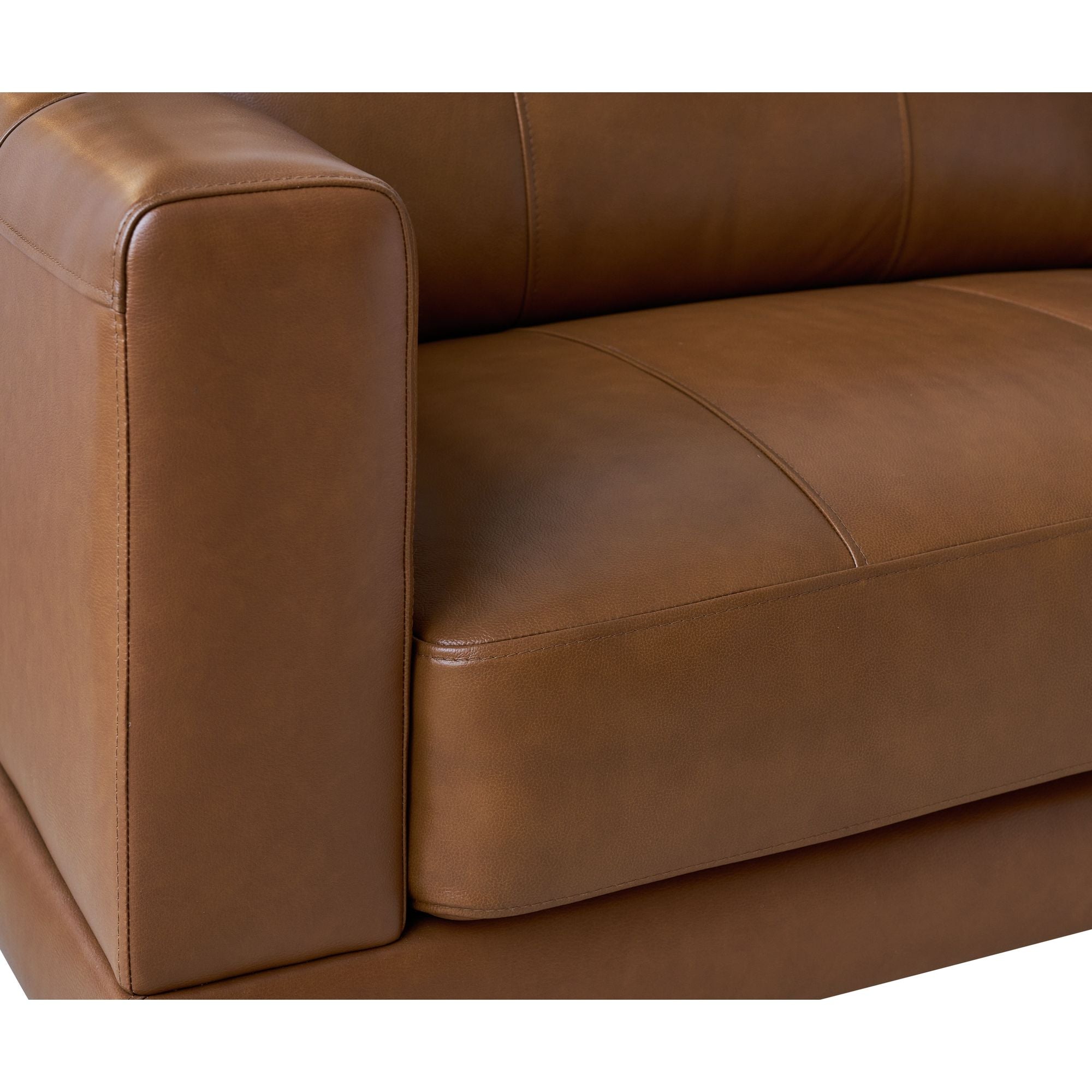 Hampton Sofa in Fiero Tan (Top Grain/PVC)