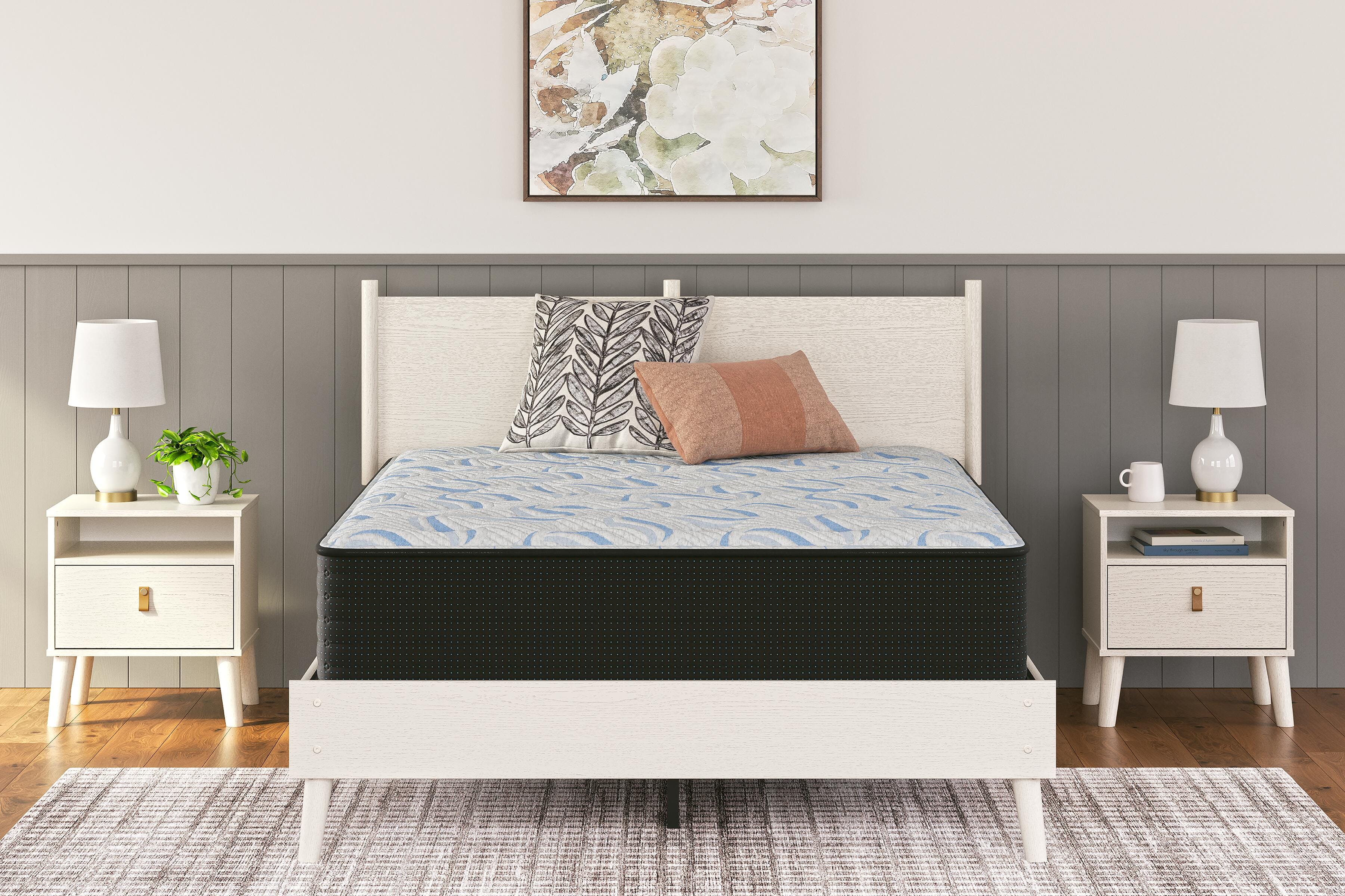 Dar Furniture - Ashley Furniture - Elite Springs Plush Twin Mattress - Twin / Gray/Blue - M40611