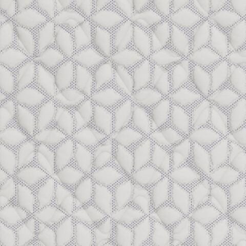 Limited Edition Firm Twin XL Mattress