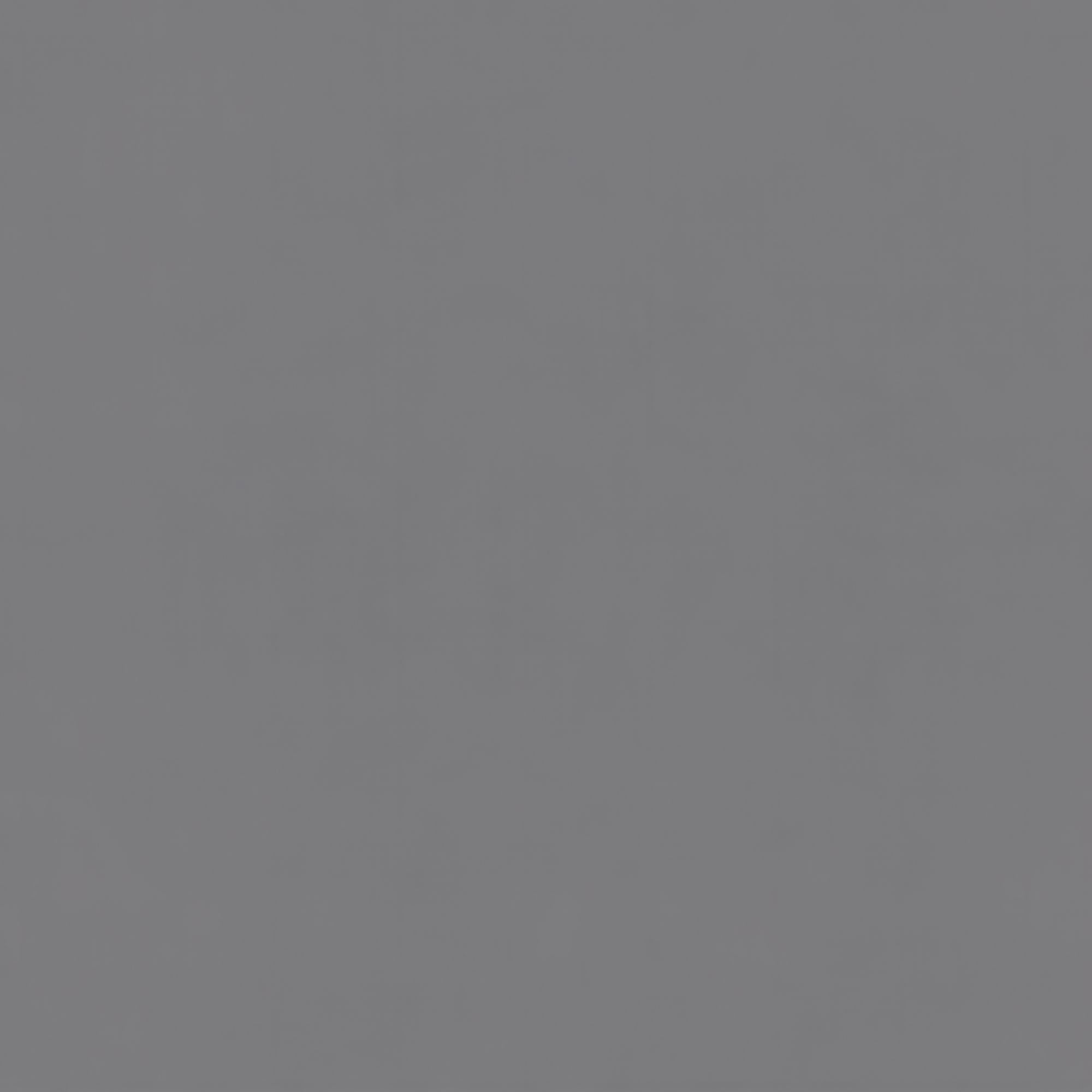 Sami Youth Twin Panel Bed in Grey