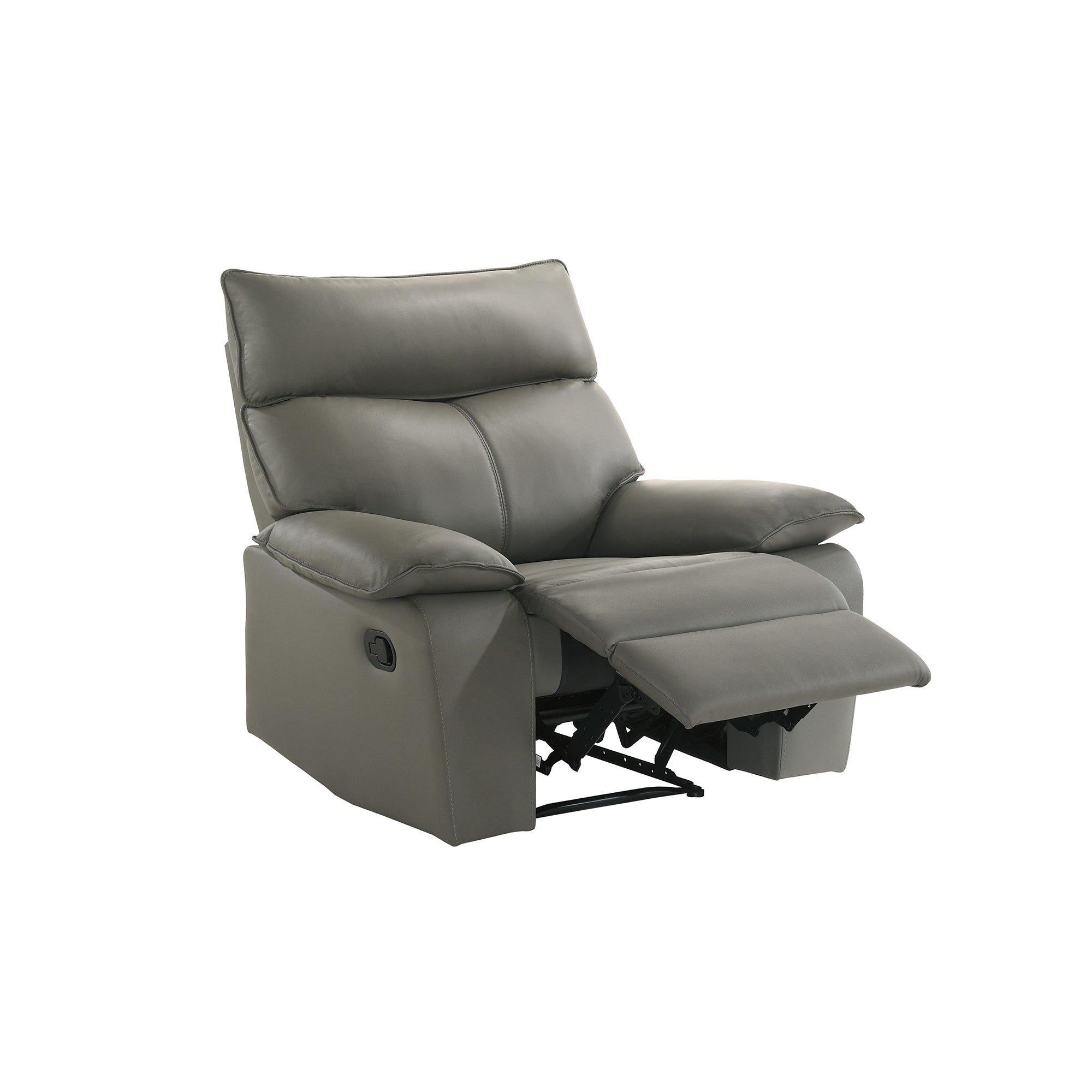 Wildcat Motion Recliner in Aviarah Grey