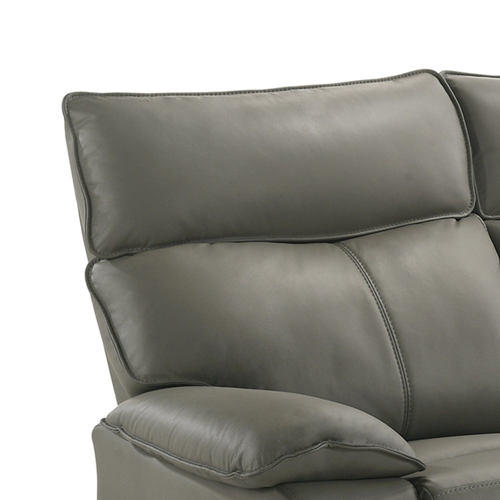 Wildcat Motion Loveseat in Aviarah Grey